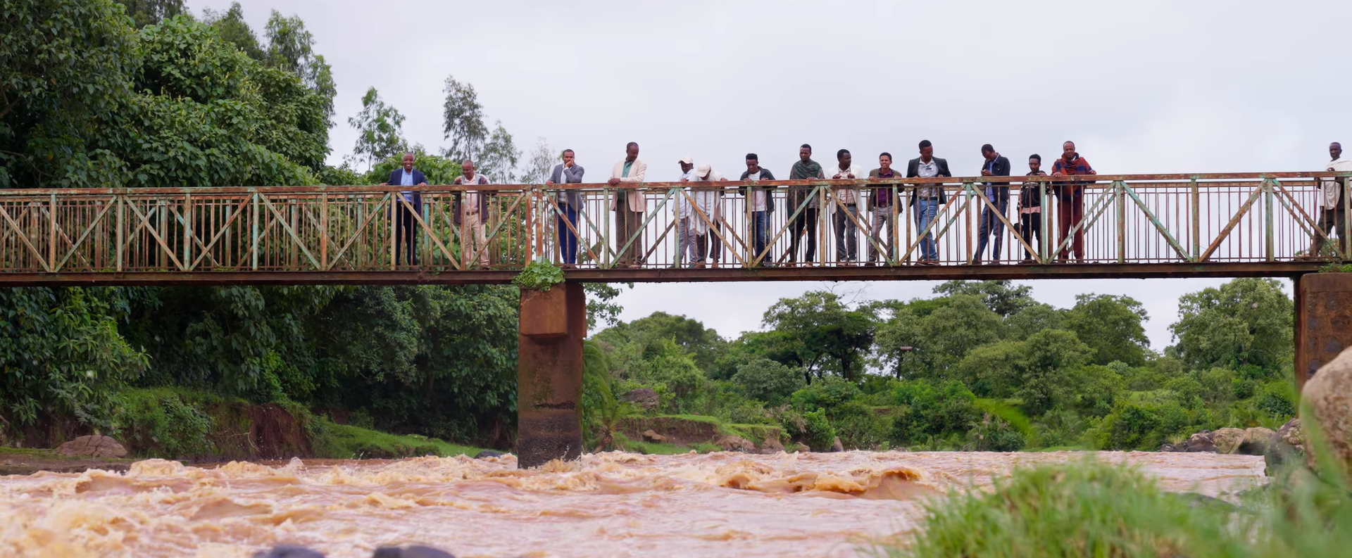 Bridge